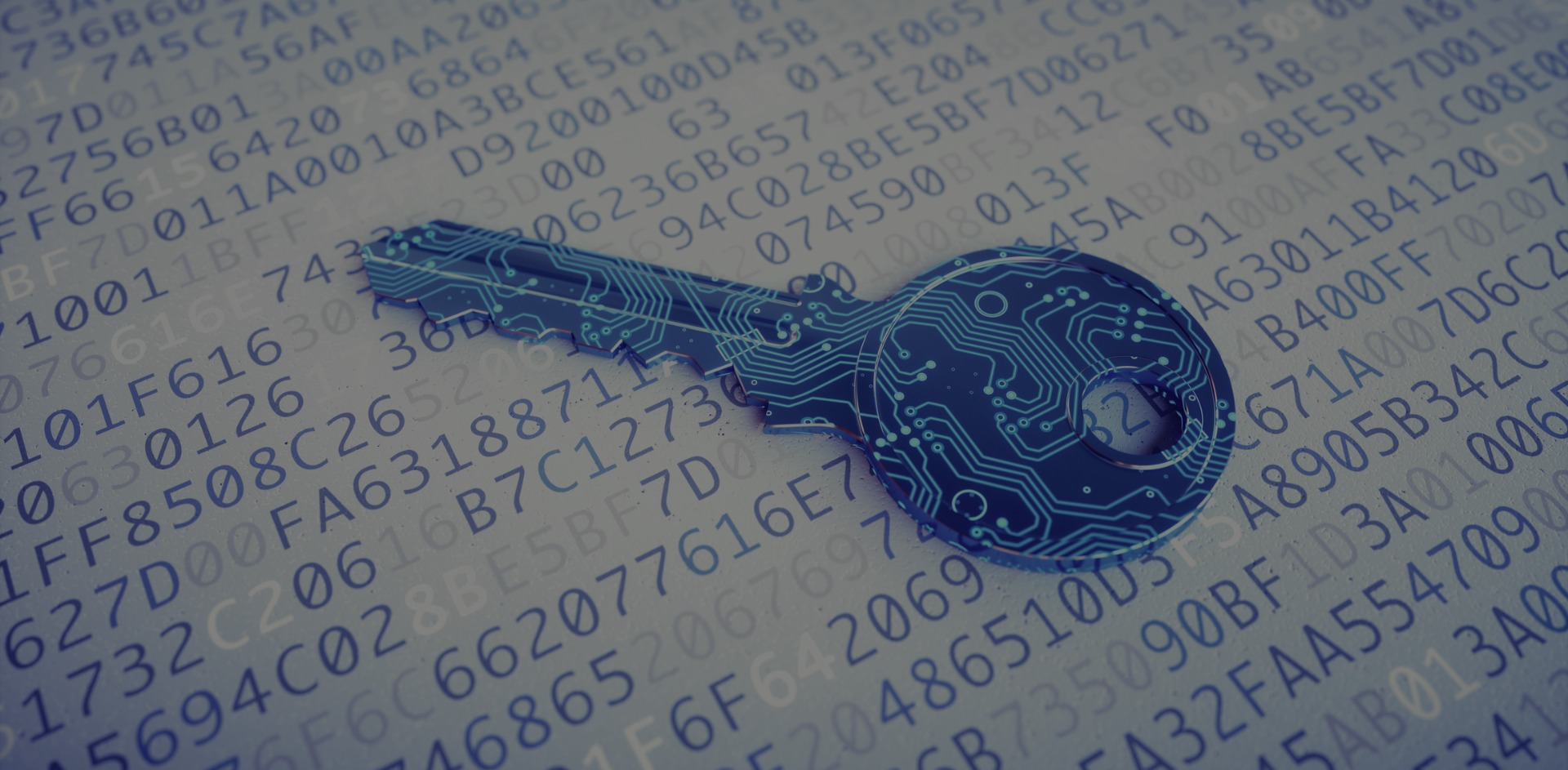 Política de Privacidade